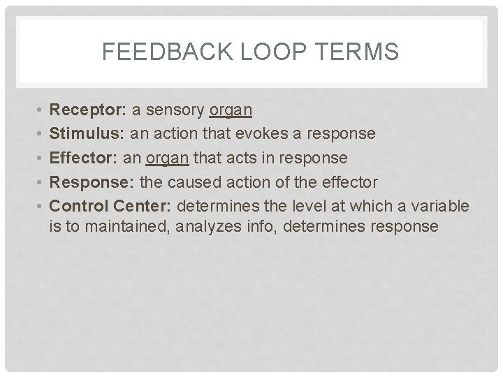 FEEDBACK LOOP TERMS • • • Receptor: a sensory organ Stimulus: an action that