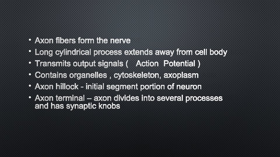  • • • AXON FIBERS FORM THE NERVE LONG CYLINDRICAL PROCESS EXTENDS AWAY