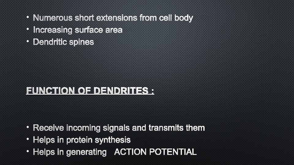  • NUMEROUS SHORT EXTENSIONS FROM CELL BODY • INCREASING SURFACE AREA • DENDRITIC