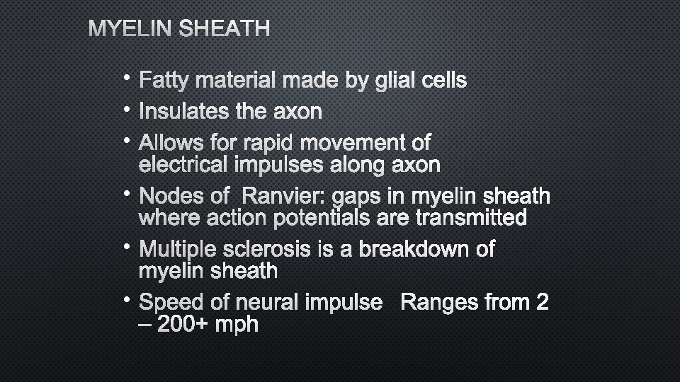 MYELIN SHEATH • FATTY MATERIAL MADE BY GLIAL CELLS • INSULATES THE AXON •