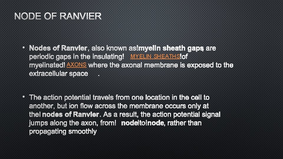 NODE OF RANVIER • MYELIN SHEATHS AXONS • 