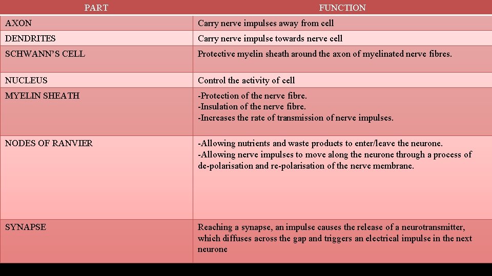 PART FUNCTION AXON Carry nerve impulses away from cell DENDRITES Carry nerve impulse towards
