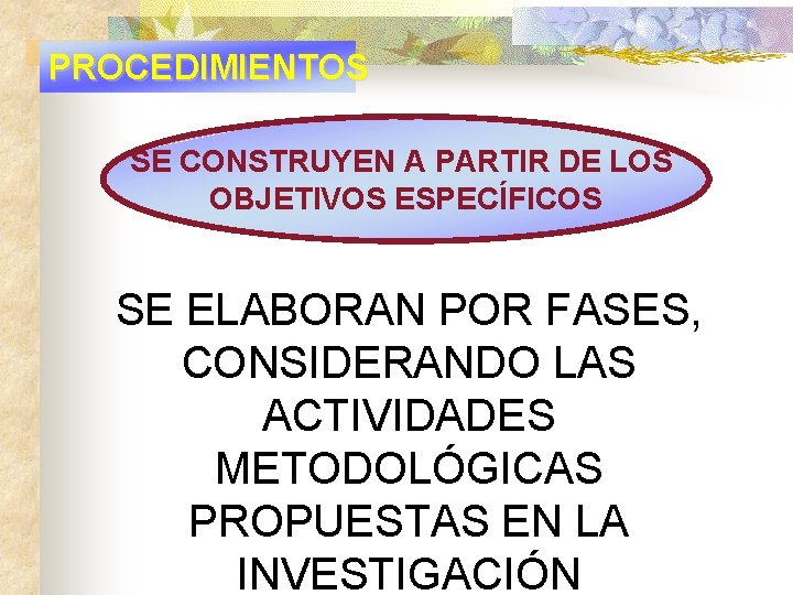 PROCEDIMIENTOS SE CONSTRUYEN A PARTIR DE LOS OBJETIVOS ESPECÍFICOS SE ELABORAN POR FASES, CONSIDERANDO