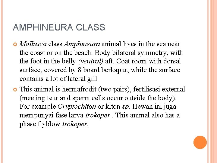 AMPHINEURA CLASS Mollusca class Amphineura animal lives in the sea near the coast or