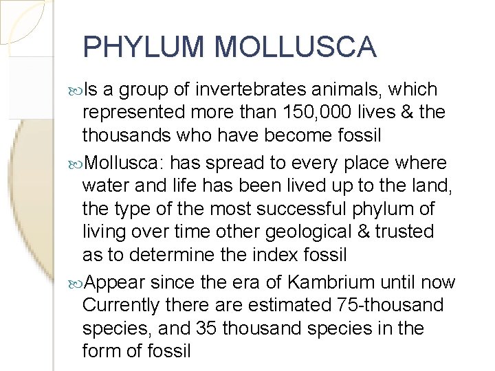 PHYLUM MOLLUSCA Is a group of invertebrates animals, which represented more than 150, 000