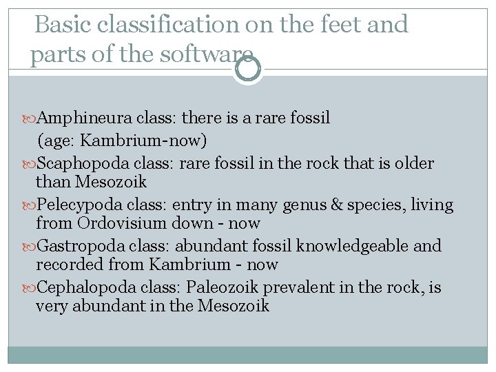 Basic classification on the feet and parts of the software Amphineura class: there is