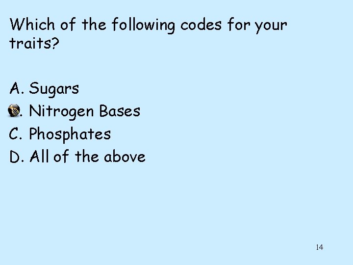 Which of the following codes for your traits? A. Sugars B. Nitrogen Bases C.