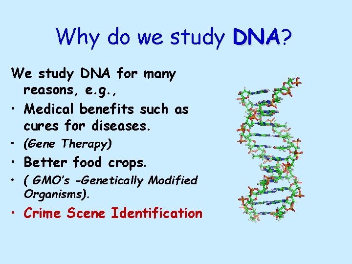 Why do we study DNA? DNA We study DNA for many reasons, e. g.