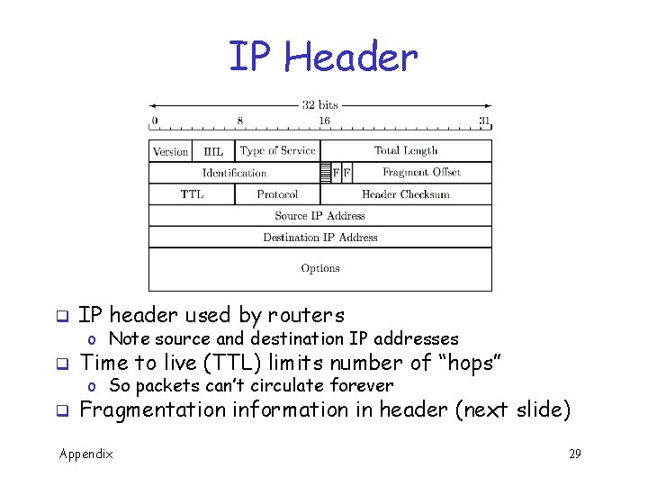 IP Header q IP header used by routers q Time to live (TTL) limits