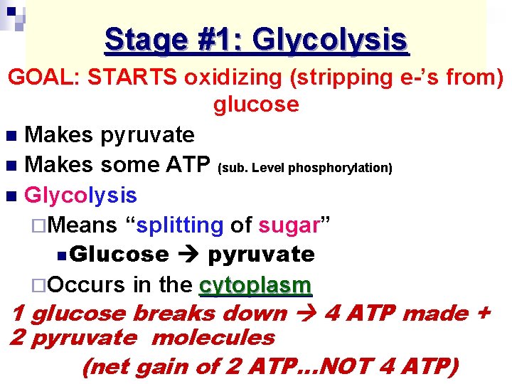 Stage #1: Glycolysis GOAL: STARTS oxidizing (stripping e-’s from) glucose n Makes pyruvate n