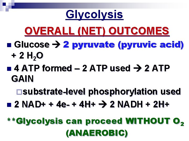 Glycolysis OVERALL (NET) OUTCOMES Glucose 2 pyruvate (pyruvic acid) + 2 H 2 O