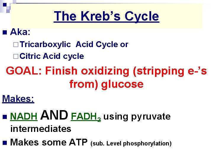 The Kreb’s Cycle n Aka: ¨ Tricarboxylic Acid Cycle or ¨ Citric Acid cycle