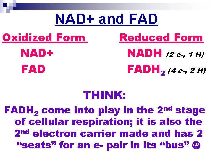 NAD+ and FAD Oxidized Form NAD+ FAD Reduced Form NADH (2 e-, 1 H)