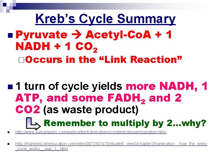Kreb’s Cycle Summary n Pyruvate Acetyl-Co. A + 1 NADH + 1 CO 2