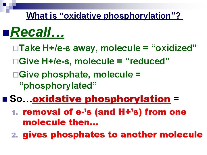 What is “oxidative phosphorylation”? n. Recall… ¨Take H+/e-s away, molecule = “oxidized” ¨Give H+/e-s,