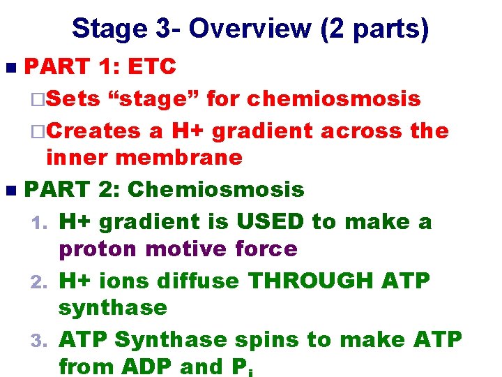Stage 3 - Overview (2 parts) PART 1: ETC ¨Sets “stage” for chemiosmosis ¨Creates