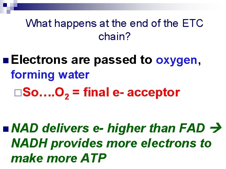 What happens at the end of the ETC chain? n Electrons are passed to