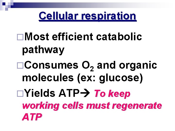 Cellular respiration ¨Most efficient catabolic pathway ¨Consumes O 2 and organic molecules (ex: glucose)