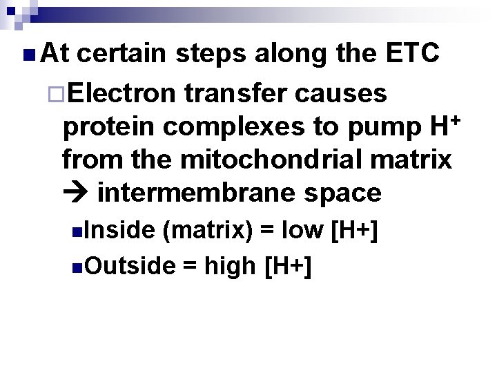 n At certain steps along the ETC ¨Electron transfer causes protein complexes to pump
