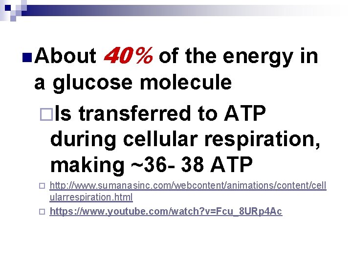 n About 40% of the energy in a glucose molecule ¨Is transferred to ATP