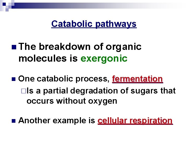 Catabolic pathways n The breakdown of organic molecules is exergonic n One catabolic process,