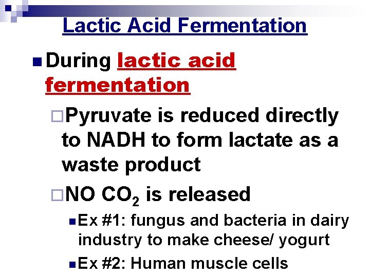 Lactic Acid Fermentation lactic acid fermentation ¨Pyruvate is reduced directly to NADH to form
