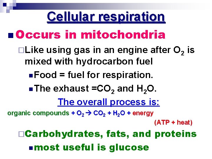 Cellular respiration n Occurs in mitochondria ¨Like using gas in an engine after O