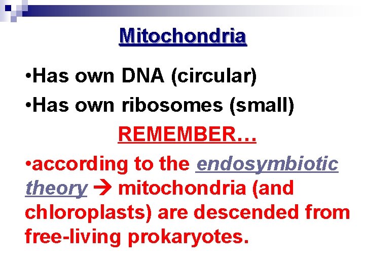 Mitochondria • Has own DNA (circular) • Has own ribosomes (small) REMEMBER… • according