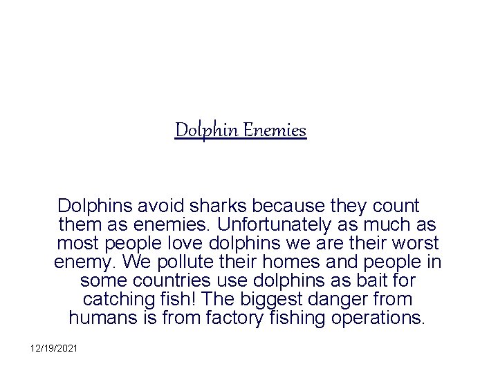 Dolphin Enemies Dolphins avoid sharks because they count them as enemies. Unfortunately as much