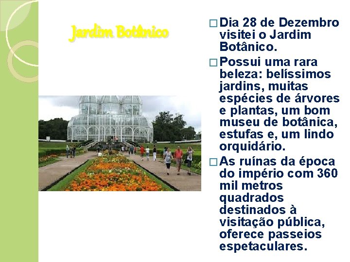 Jardim Botânico � Dia 28 de Dezembro visitei o Jardim Botânico. � Possui uma