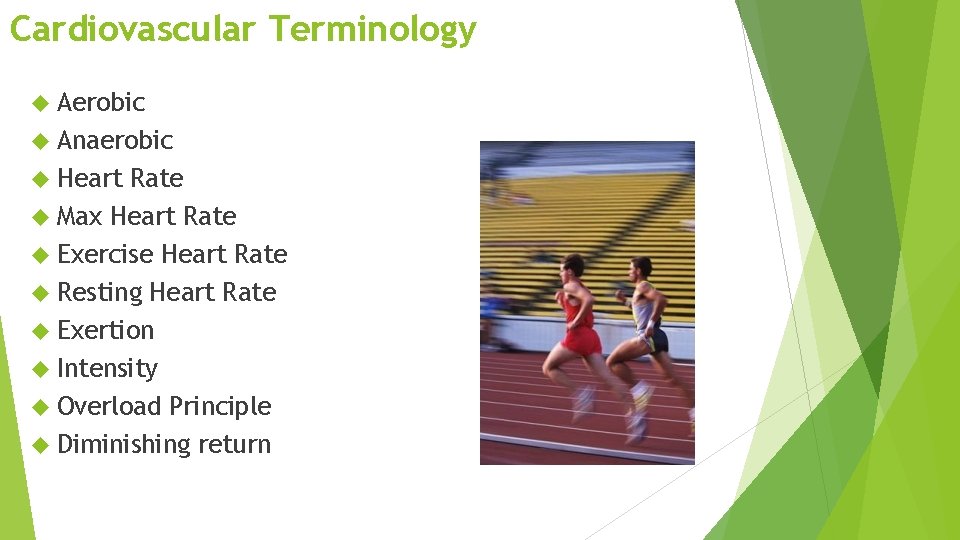 Cardiovascular Terminology Aerobic Anaerobic Heart Rate Max Heart Rate Exercise Heart Rate Resting Heart
