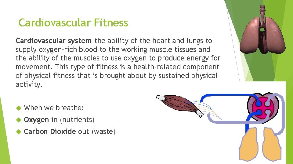 Cardiovascular Fitness Cardiovascular system-the ability of the heart and lungs to supply oxygen-rich blood