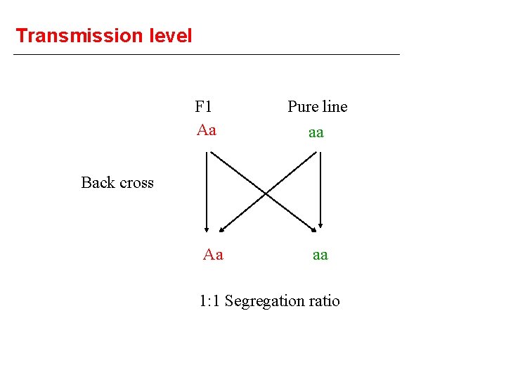 Transmission level F 1 Aa Pure line aa Back cross Aa aa 1: 1