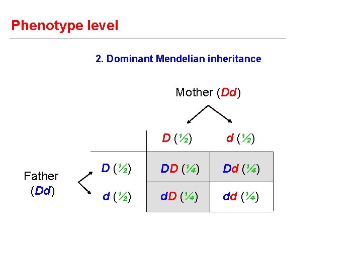 Phenotype level 2. Dominant Mendelian inheritance Mother (Dd) Father (Dd) D (½) d (½)
