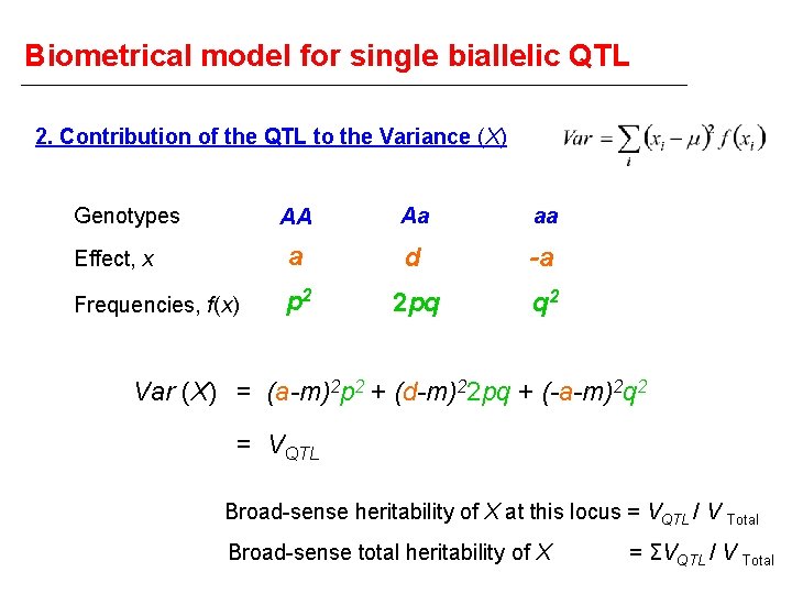 Biometrical model for single biallelic QTL 2. Contribution of the QTL to the Variance