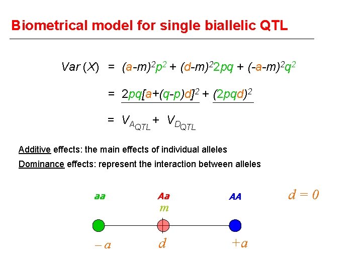 Biometrical model for single biallelic QTL Var (X) = (a-m)2 p 2 + (d-m)22
