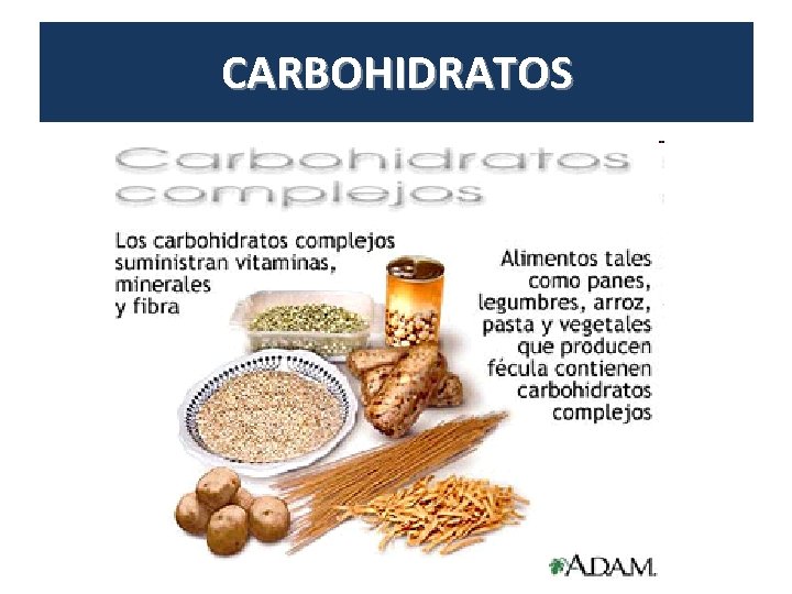 CARBOHIDRATOS 