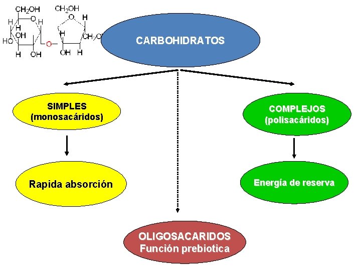 CARBOHIDRATOS SIMPLES (monosacáridos) COMPLEJOS (polisacáridos) Energía de reserva Rapida absorción OLIGOSACARIDOS Función prebiotica 