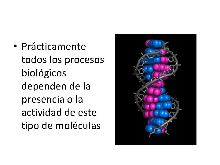  • Prácticamente todos los procesos biológicos dependen de la presencia o la actividad