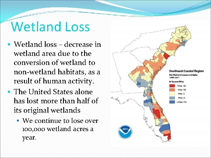 Wetland Loss § Wetland loss – decrease in wetland area due to the conversion