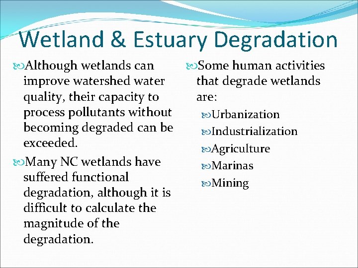 Wetland & Estuary Degradation Although wetlands can Some human activities improve watershed water that