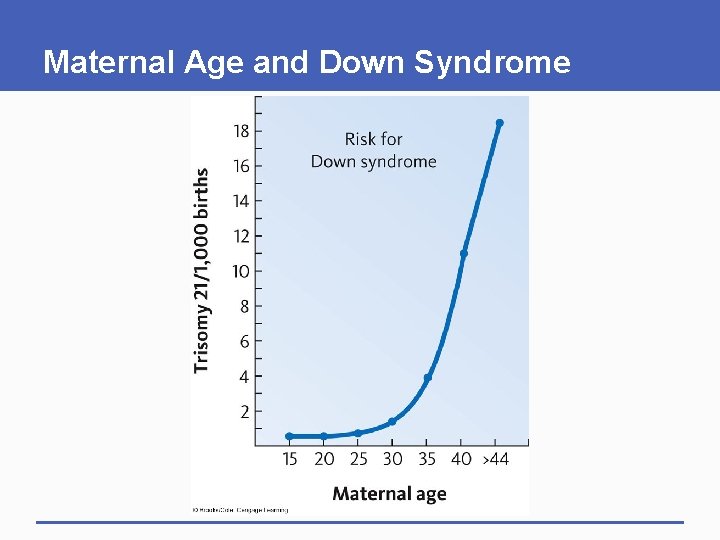 Maternal Age and Down Syndrome 