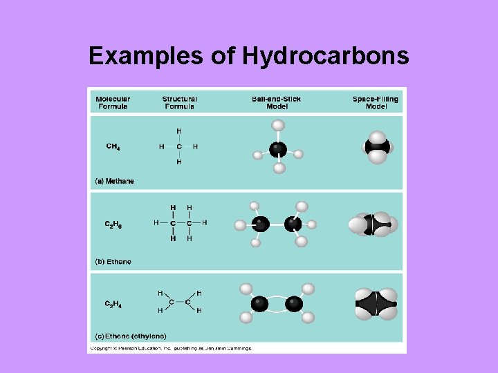 Examples of Hydrocarbons 
