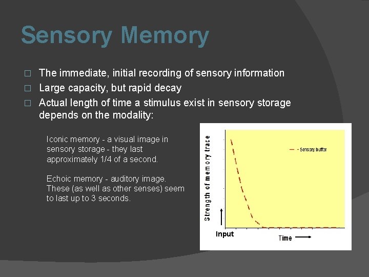 Sensory Memory The immediate, initial recording of sensory information � Large capacity, but rapid
