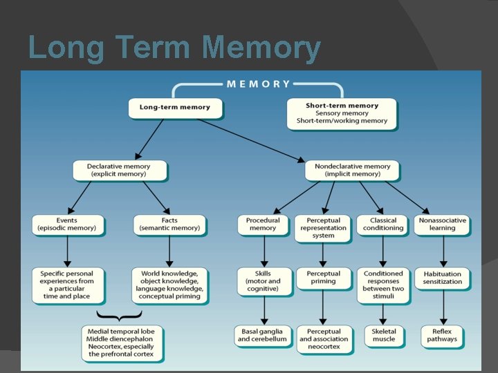Long Term Memory 