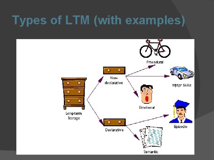 Types of LTM (with examples) 