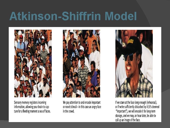 Atkinson-Shiffrin Model 