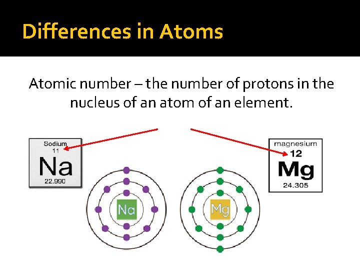 Differences in Atoms Atomic number – the number of protons in the nucleus of