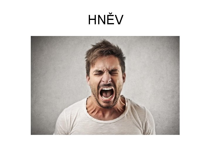 HNĚV 