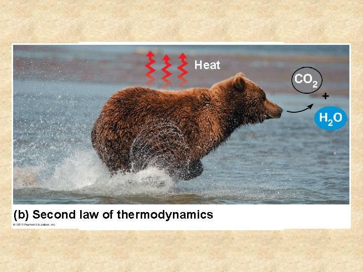 Heat Chemical energy (b) Second law of thermodynamics (a) First law of thermodynamics 